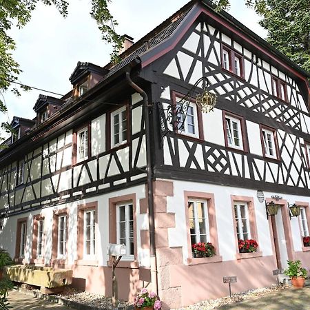 Boutique-Hotel Krone デンツリンゲン エクステリア 写真