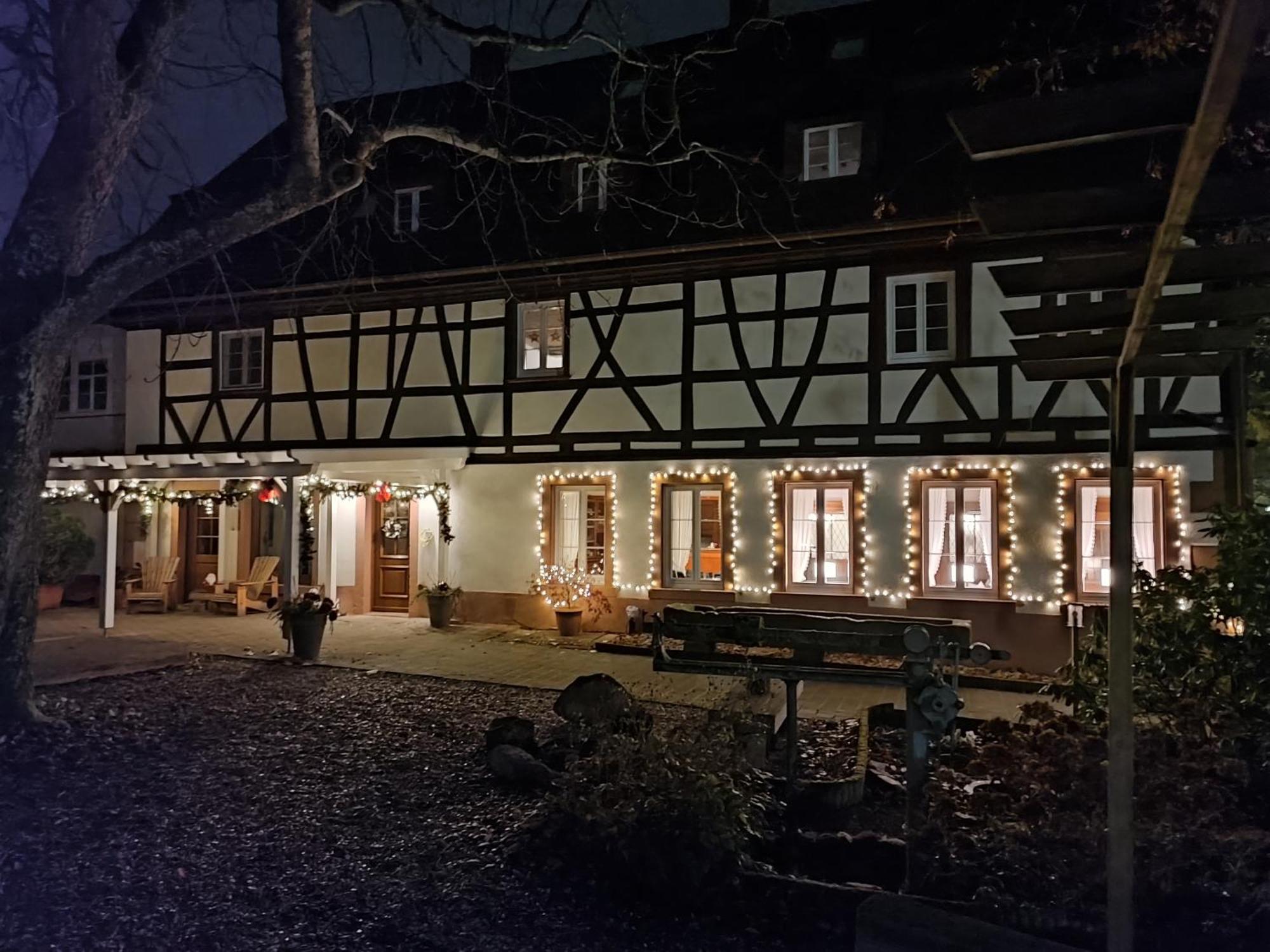 Boutique-Hotel Krone デンツリンゲン エクステリア 写真